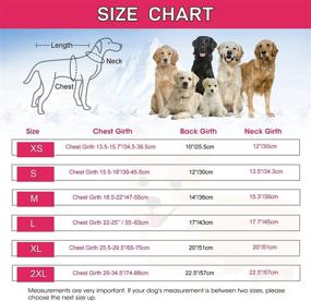 img 2 attached to 🐶 Dogcheer Reversible Winter Dog Coat - Warm Christmas Pet Jacket for Cold Weather | Waterproof Fleece Collar Dog Clothes | Puppy Vest Apparel for Small Medium Large Dogs