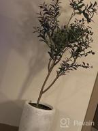 img 1 attached to Artificial Olive Tree - 5.25Ft Tall Faux Potted Silk Tree With Planter, Large Olive Branch And Fruit Decoration, Indoor Home Decor For Modern Living Spaces, 1032 Leaves review by Shawn Martin