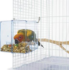 img 1 attached to 🐦 Birds LOVE Bird Feeder Seed Catcher Tray: Ideal Hanging Cup Food Dish for Parrot Cage - Perfect for Small Birds Lovebirds, Cockatiels, Canaries, Sun Conures, and Bluebirds