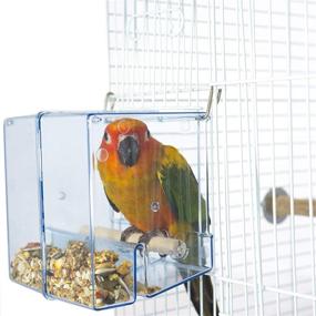 img 3 attached to 🐦 Birds LOVE Bird Feeder Seed Catcher Tray: Ideal Hanging Cup Food Dish for Parrot Cage - Perfect for Small Birds Lovebirds, Cockatiels, Canaries, Sun Conures, and Bluebirds