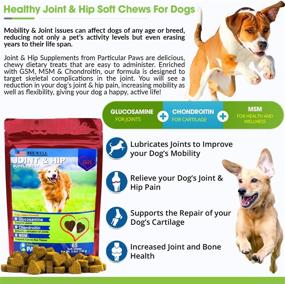 img 1 attached to 🐶 Glucosamine for Dogs - Joint & Hip Formula Treats with MSM, Chondroitin, and Hyaluronic Acid - Bacon Flavored Soft Chews - 65 Count