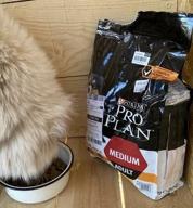 img 1 attached to Dry dog ​​food Pro Plan Opti Balance for medium breeds with chicken 3 kg review by Adam Gontarz ᠌