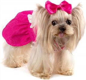 img 3 attached to 🐶 CuteBone Dog Dress with Harness D-Ring for Small Dogs, Wedding Cat Clothes, Girl Puppy Outfit in Pink, Shirt Flower Costume with Bow Hair Rope DW02M: Summer Fashion Must-Have