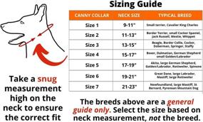 img 1 attached to 🐶 Canny Collar Dog Head Collar - No Pull Leash Training Head Harness for Gentle Walks with Small, Medium or Large Dogs - Comfortable & Calm Control - Easy to Fit Halter that Stops Pulling - Padded Collar - Kind To Your Dog - Available in Black, Blue, Purple & Red