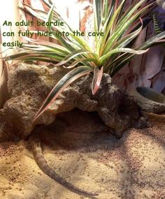 img 1 attached to Enhance Your Reptile Habitat with RunXF Reptile Simulation Rock Hideouts: Ideal Cave Amphibian Hides for Gecko, Leopard Lizards, Toads, and Turtles