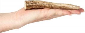img 3 attached to K9Warehouse Small Elk Antler Dog Chews - Long-Lasting & Odor-Free For Aggressive Chewers, Suitable For Small To Large Dogs (5 To 20 Lbs), Whole Antlers Measuring 4"-5