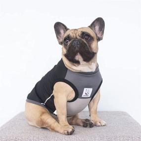 img 3 attached to 🐶 IChoue Quick Dry Dog Cooling Shirts: Stay Cool and Comfy in Hot Weather!