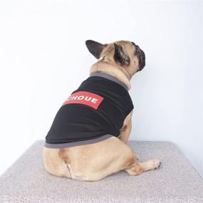 img 2 attached to 🐶 IChoue Quick Dry Dog Cooling Shirts: Stay Cool and Comfy in Hot Weather!