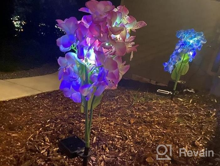 img 1 attached to 3 Pack Solar Garden Lights 2022 Version – Outdoor Colorful Hydrangea Flower Decoration, Two Lighting Modes & Enlarged Solar Panel - TONULAX review by Nick Ross