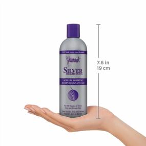 img 2 attached to 💇 Revitalize Your Silver Locks with Jhirmack Silver Plus Ageless Shampoo - Pack of 2 (12 fl oz)