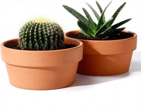 img 4 attached to Set Of 2 POTEY 6.1" Terracotta Planters W/ Drainage Hole For Succulent & Cactus