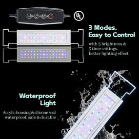 img 1 attached to 🐠 LAQUAL Aquarium Starter Kit: 3 Gal Rimless Glass Low Iron Fish Tank with Filter and Light - Perfect Small Beta Fish Tank