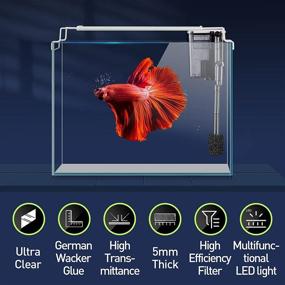 img 3 attached to 🐠 LAQUAL Aquarium Starter Kit: 3 Gal Rimless Glass Low Iron Fish Tank with Filter and Light - Perfect Small Beta Fish Tank