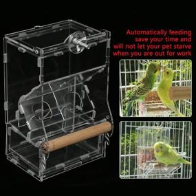 img 1 attached to Acrylic Parrots Automatic Parakeet Container Birds