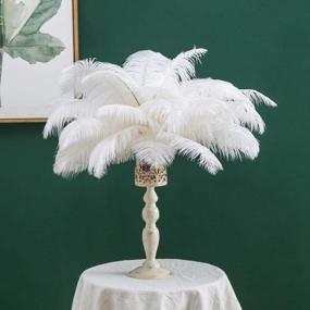 img 4 attached to 50 Pack Of Real White Ostrich Feathers - 16 To 18 Inches (40-45Cm) - Perfect For Christmas, Halloween, Home Parties, And Wedding Centerpieces