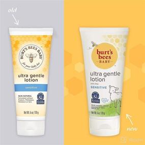 img 2 attached to 🧴 Лосьон Burt's Bees Baby Ultra Gentle для чувствительной кожи - 6 унций - Тройной набор: Успокаивающий уход для нежной кожи