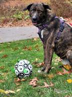 img 1 attached to Train Your Canine'S Foraging Skills With QDAN'S Soccer Ball And Snuffle Mat Combo! review by Brenda Naple