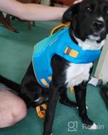 img 1 attached to Ensure Your Pup'S Safety In Water With RUFFWEAR Float Coat Life Jacket- Blue Dusk, Size Large review by Melody Young