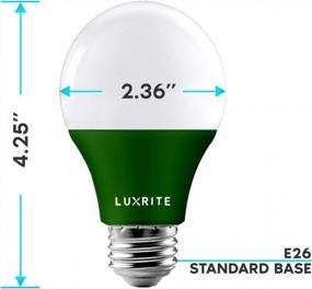 img 1 attached to Светодиодная зеленая лампа LUXRITE A19, 3 шт., эквивалент 60 Вт, внесена в список UL и нерегулируемая, для внутреннего и наружного украшения
