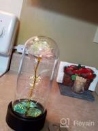 img 1 attached to Red Forever Rose With LED Lights In Glass Dome - Perfect Gift For Her On Birthdays, Christmas, Anniversaries, And Valentine'S Day. Includes A Beautiful Music Box And Ideal For Women, Wife, And Moms! review by Robert Elder