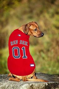 img 1 attached to 🐾 MLB PET Apparel: Officially Licensed Baseball Jerseys, T-Shirts, Dugout Jackets, CAMO Jerseys, Hoodie Tee's & Pink Jerseys for Dogs & Cats - Shop All 30 MLB Teams & 7 Sizes