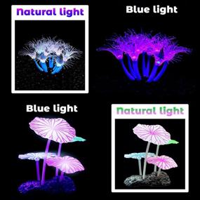 img 2 attached to TIRTI Decorations Simulation Искусственные аксессуары