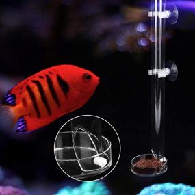 img 2 attached to 🐠 Durable Acrylic Aquarium Feeder: Transparent Fish Tank Feeding Tube with Tray and Fixing Bracket Suction Cups - Ideal for Fish and Shrimp Feeding
