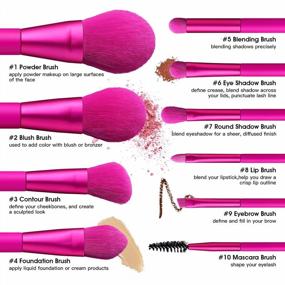 img 3 attached to Elevate Your Beauty Routine With EIGSHOW'S Premium Synthetic Makeup Brush Set - 10Pcs Vegan Brushes For Flawless Application Of Foundation, Powder, Lipstick, Blush, Contour And Eyeshadow In Magenta