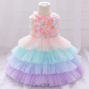 img 2 attached to 6-24M Baby Girl Flower Dress For Wedding, Bridesmaid, Birthday Party & Pageant