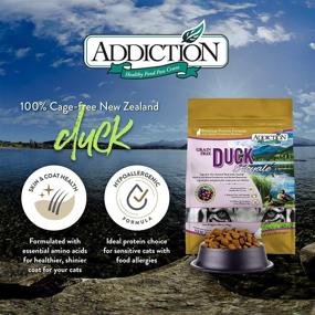 img 2 attached to 🦆 Grain Free Dry Cat Food: Addiction Duck Royale - 4 Lb.