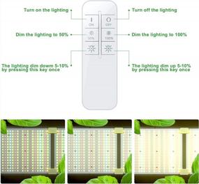 img 2 attached to 2000W HID Replacement LED Grow Light - Full Spectrum, Remote Control Dimmable For Indoor Plants, Hydroponics, And Greenhouse