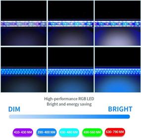 img 2 attached to Marine Saltwater Aquarium Spectrum Including