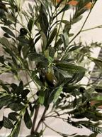 img 1 attached to Artificial Olive Tree - 5.25Ft Tall Faux Potted Silk Tree With Planter, Large Olive Branch And Fruit Decoration, Indoor Home Decor For Modern Living Spaces, 1032 Leaves review by David Miller