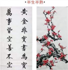 img 1 attached to MEGREZ Chinese Japanese Calligraphy Practice Writing Sumi Drawing Xuan Rice Paper Without Grids 100 Sheets/Set - 34 X 138 Cm (13.38 X 54.33 Inch), Half Sheng Shu (Half Raw Ripe) Xuan