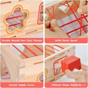 img 3 attached to 🧩 Montessori Shape Sorter Toddler Toys Age 1-2 - NiceNeer Wooden Educational Learning Toy for 1 2 3 Year Olds - Baby Toys & Gifts