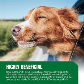 img 3 attached to Ramard Total Calm And Focus Treats For Canine — Успокаивающие жевательные таблетки для собак с магнием и витаминами группы В — Для гипер-собак, дискомфорт при разлуке, деструктивное поведение и снятие стресса — 45 мягких жевательных таблеток