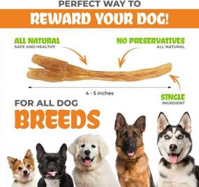 img 2 attached to K9Warehouse 6-Pack Of Single Ingredient Long Lasting Beef Tendon Chews For Dogs - Rawhide Alternatives For Small, Medium And Large Dogs (6”-11”)