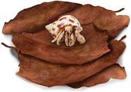 🌿 sungrow large indian almond leaves for hermit crabs - ideal for promoting breeding and increasing humidity logo