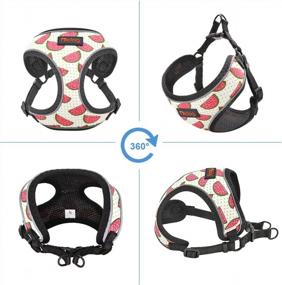 img 3 attached to Didog Small Dog Harness And Leash With Soft Breathable Air Mesh Padded, Reflective Escape Proof Puppy Harness With Cute Fruit Pattern,Step-In And Easy Control For Small Dogs And Cats,Watermelon