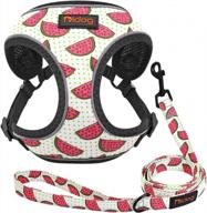 didog small dog harness and leash with soft breathable air mesh padded, reflective escape proof puppy harness with cute fruit pattern,step-in and easy control for small dogs and cats,watermelon logo