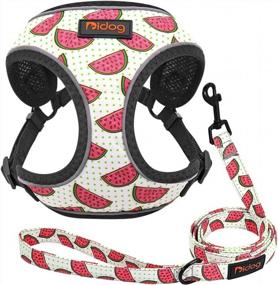 img 4 attached to Didog Small Dog Harness And Leash With Soft Breathable Air Mesh Padded, Reflective Escape Proof Puppy Harness With Cute Fruit Pattern,Step-In And Easy Control For Small Dogs And Cats,Watermelon