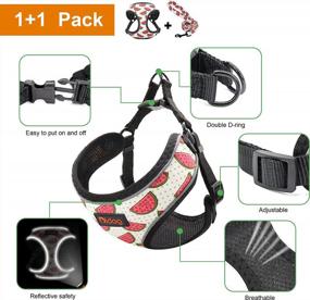 img 2 attached to Didog Small Dog Harness And Leash With Soft Breathable Air Mesh Padded, Reflective Escape Proof Puppy Harness With Cute Fruit Pattern,Step-In And Easy Control For Small Dogs And Cats,Watermelon