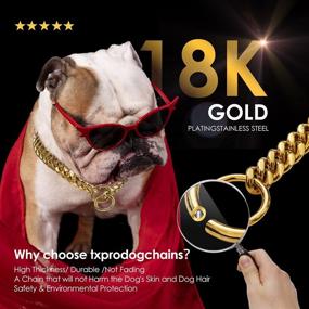 img 1 attached to 🐶 txprodogchains: Premium 18K Gold Chain Dog Collar - Durable Stainless Steel Cuban Link for Walking and Training Small to Large Dogs (10in to 24in)