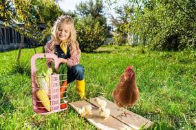 img 1 attached to 🐔 Enhance Your Hens' Coop Experience with the Chicken Vegetable Basket & Fruit Veggie Hanging Feeder – Hen-approved Toys!