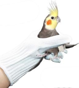 img 4 attached to 🧤 Bonaweite Anti-Bite Gloves for Bird Training - Protective Handling Gloves for Parrots, Cockatiels, Macaws, and more