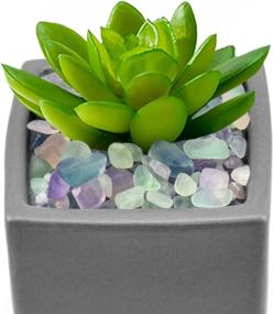 img 1 attached to 🌈 Naturally Multicolored Fluorite Decorative Crystal Pebbles for Aquariums - Rose Stones, Quartz Tumbled Stones, Sea Glass Rock for Plant Care and Vase Filling