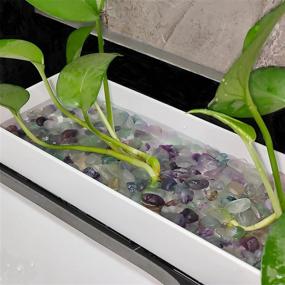 img 2 attached to 🌈 Naturally Multicolored Fluorite Decorative Crystal Pebbles for Aquariums - Rose Stones, Quartz Tumbled Stones, Sea Glass Rock for Plant Care and Vase Filling