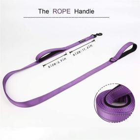 img 2 attached to Wondertail Reflective Dog Training Leash with Two Handles - Control and Safety Rope Leash for Small, Medium, and Large Dogs - Durable and Highly Reflective - 5ft Length (Purple)