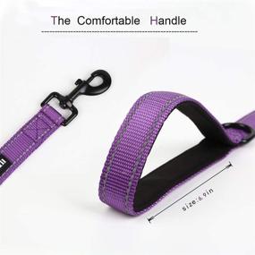 img 3 attached to Wondertail Reflective Dog Training Leash with Two Handles - Control and Safety Rope Leash for Small, Medium, and Large Dogs - Durable and Highly Reflective - 5ft Length (Purple)