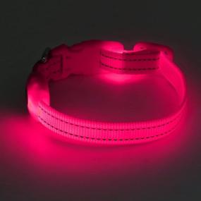 img 1 attached to BSEEN XS LED Dog Collar: Adjustable USB Rechargeable Glowing Pet Collar for Small Dogs & Cats - Light Up Collars to Enhance Visibility